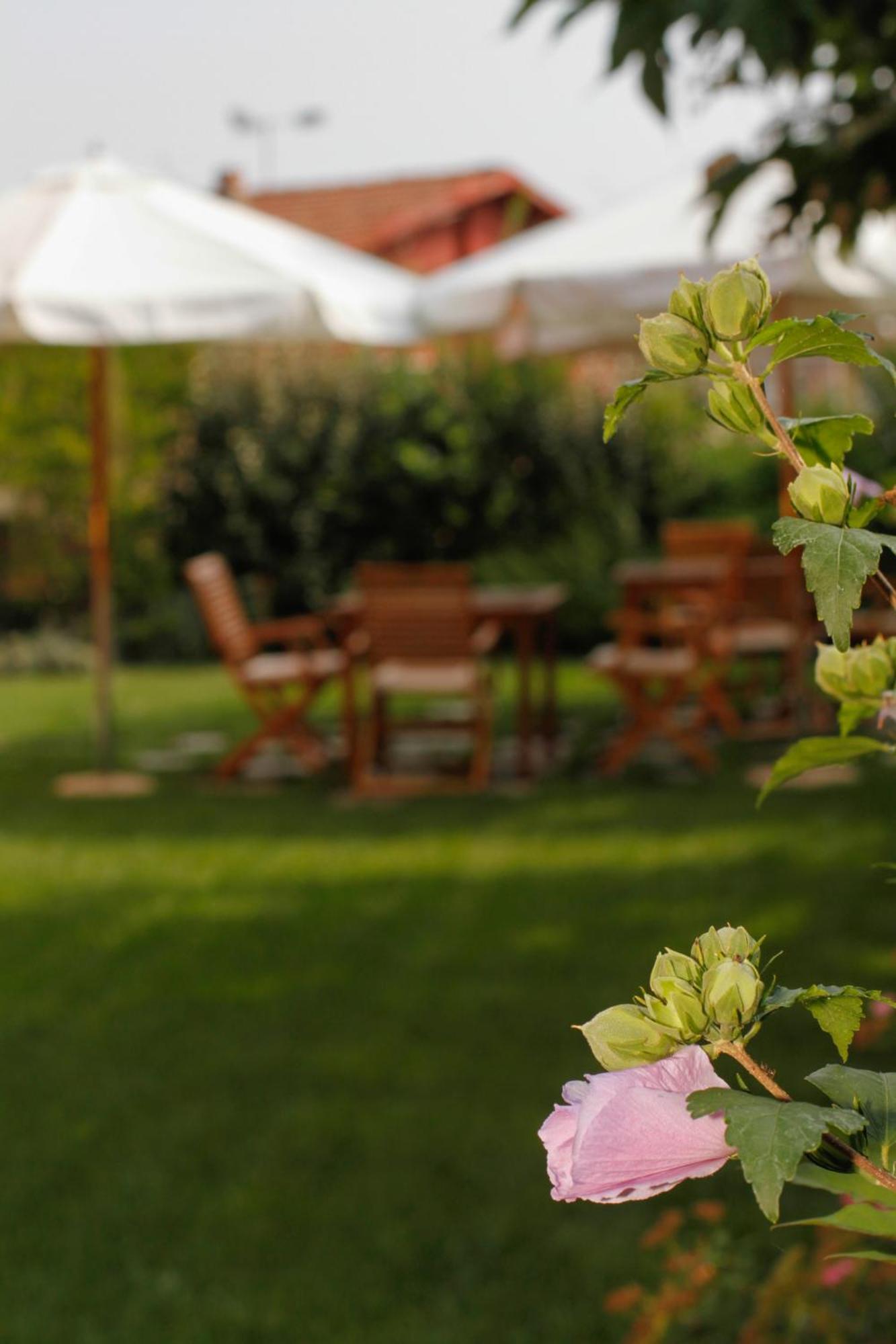 Albergo Della Ceramica Villanova Mondovì Екстериор снимка